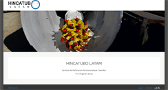 Desktop Screenshot of hincatubo.com